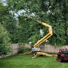 Best Tree Health Inspection  in South Bradenton, FL